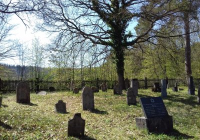 Kmínek Michal, 2019