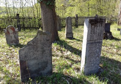 Kmínek Michal, 2019