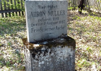 Kmínek Michal, 2019