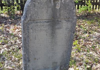 Kmínek Michal, 2019