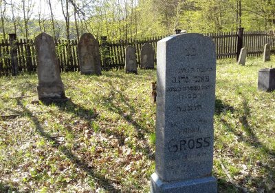 Kmínek Michal, 2019