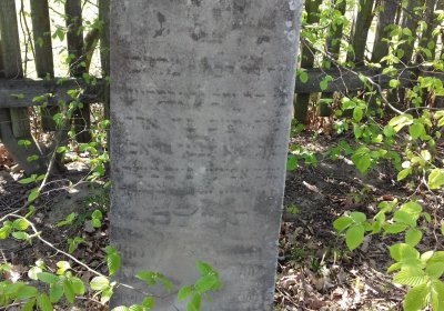 Kmínek Michal, 2019