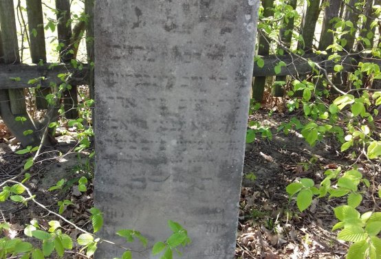 Kmínek Michal, 2019