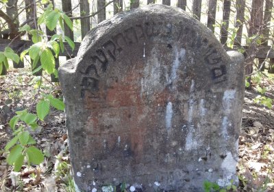 Kmínek Michal, 2019