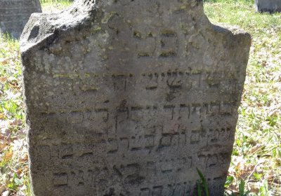 Kmínek Michal, 2019