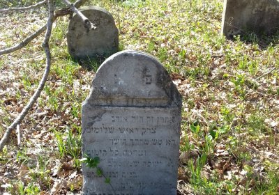 Kmínek Michal, 2019