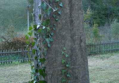 Kmínek Michal, 2019