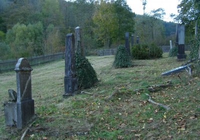 Kmínek Michal, 2019