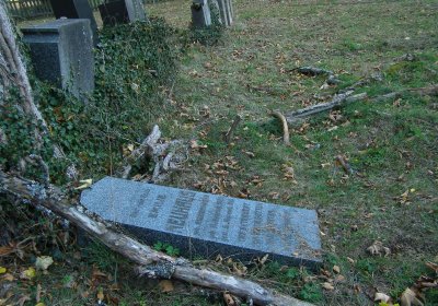 Kmínek Michal, 2019