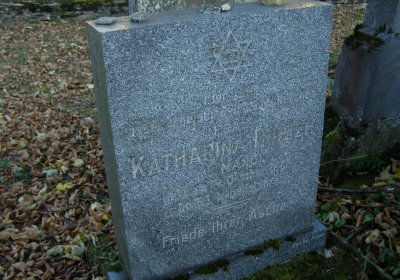 Kmínek Michal, 2019