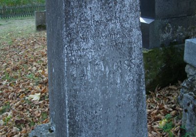 Kmínek Michal, 2019