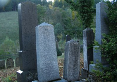 Kmínek Michal, 2019