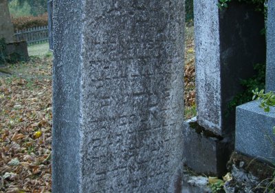 Kmínek Michal, 2019