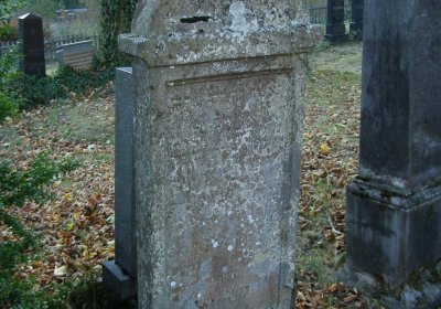 Kmínek Michal, 2019