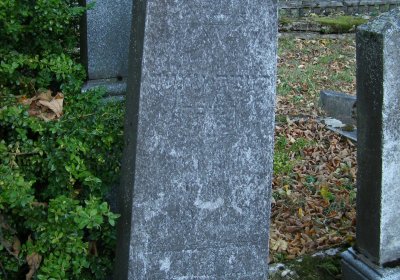 Kmínek Michal, 2019