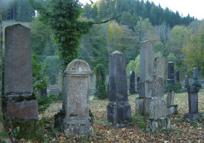 Kmínek Michal, 2019