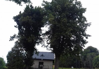 Kmínek Michal, 2019