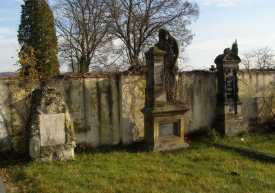 Kmínek Michal, 2019