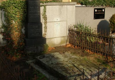 Kmínek Michal, 2019