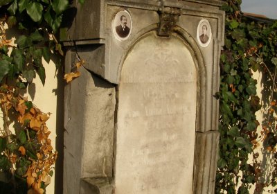 Kmínek Michal, 2019