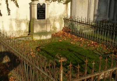 Kmínek Michal, 2019