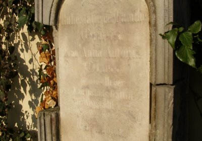 Kmínek Michal, 2019