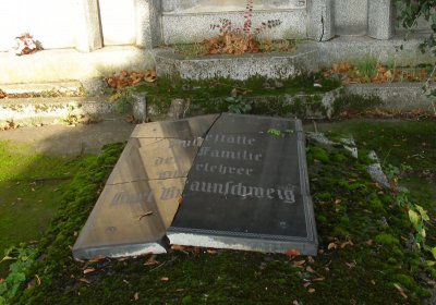 Kmínek Michal, 2019