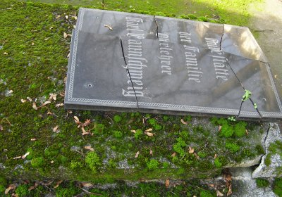 Kmínek Michal, 2019