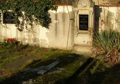 Kmínek Michal, 2019