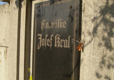 Kmínek Michal, 2019