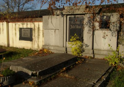 Kmínek Michal, 2019