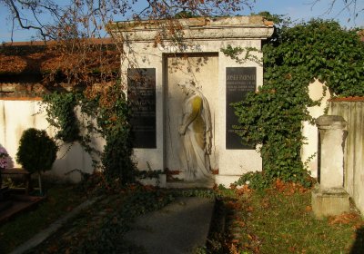 Kmínek Michal, 2019