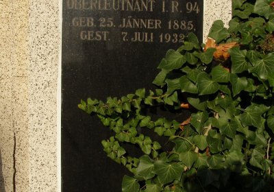 Kmínek Michal, 2019