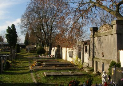 Kmínek Michal, 2019