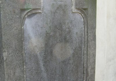 Kmínek Michal, 2019