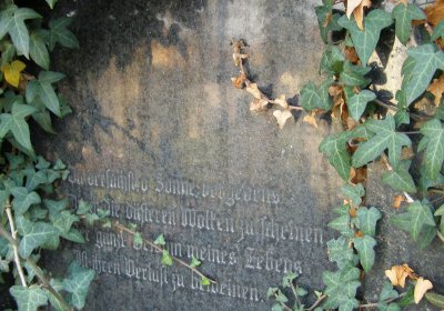 Kmínek Michal, 2019