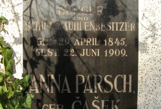 Kmínek Michal, 2019