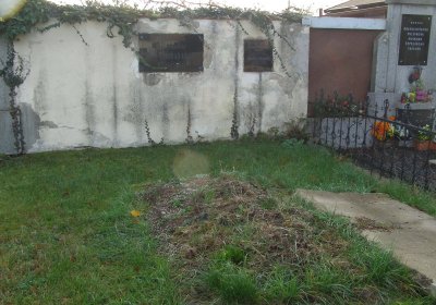 Kmínek Michal, 2019