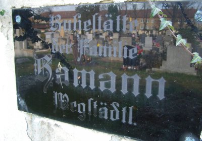 Kmínek Michal, 2019