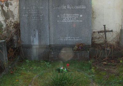 Kmínek Michal, 2019