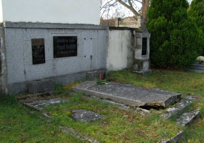 Kmínek Michal, 2019