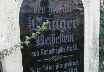 Kmínek Michal, 2019