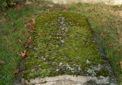 Kmínek Michal, 2019