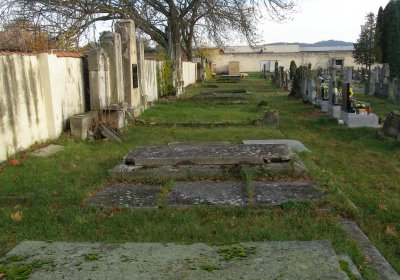 Kmínek Michal, 2019