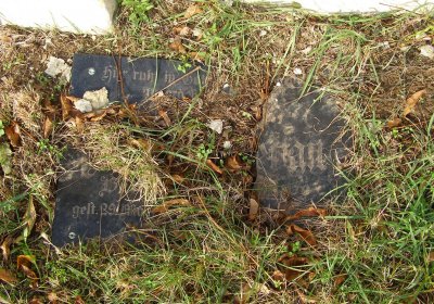 Kmínek Michal, 2019