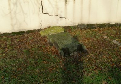 Kmínek Michal, 2019