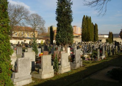 Kmínek Michal, 2019