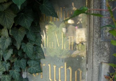 Kmínek Michal, 2019