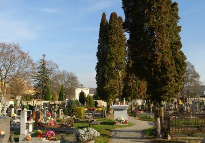 Kmínek Michal, 2019