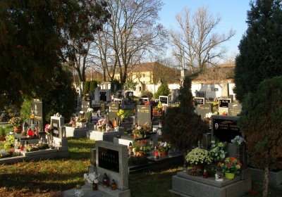 Kmínek Michal, 2019